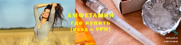 метадон Богданович