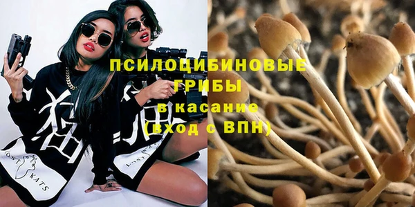 стафф Майский