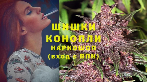 стафф Майский