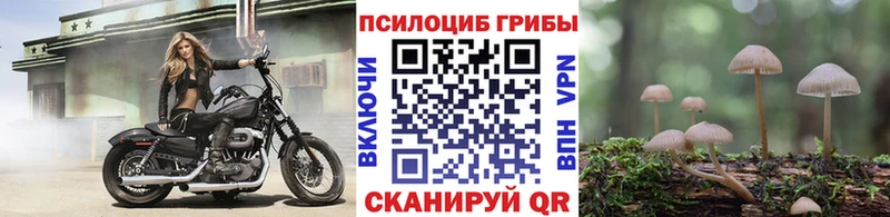 Псилоцибиновые грибы Psilocybine cubensis  купить   Каневская 